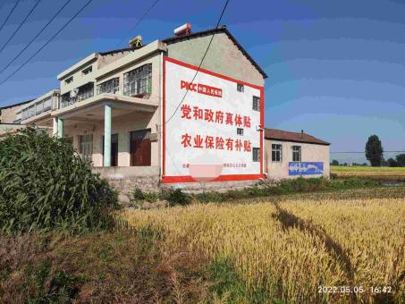 金阳墙体广告多少钱一平