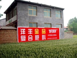 金阳如何让墙体广告展现最大化效果