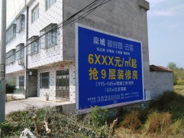 金阳墙体广告质量分析