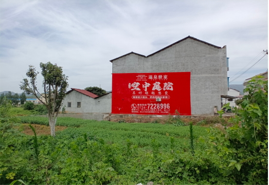 金阳做墙体广告的意义