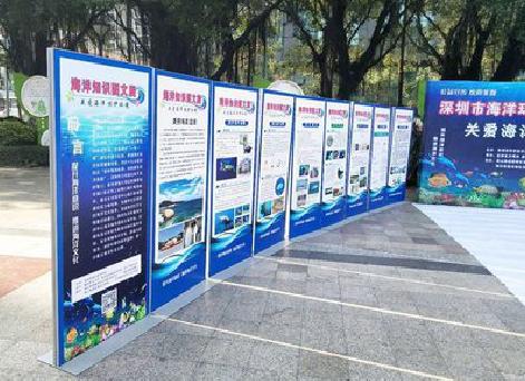 金阳KT板的种类和知识。